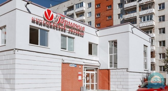 Гармония на ул. Фурманова