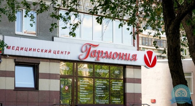 Гармония на ул. Сыромолотова